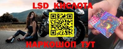 сатива Краснодар