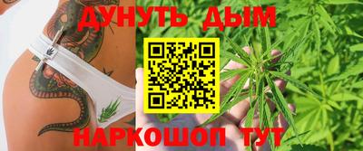сатива Краснодар