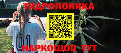 меф Краснознаменск