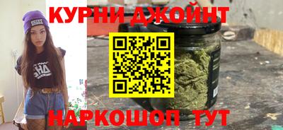 сатива Краснодар