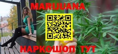 сатива Краснодар