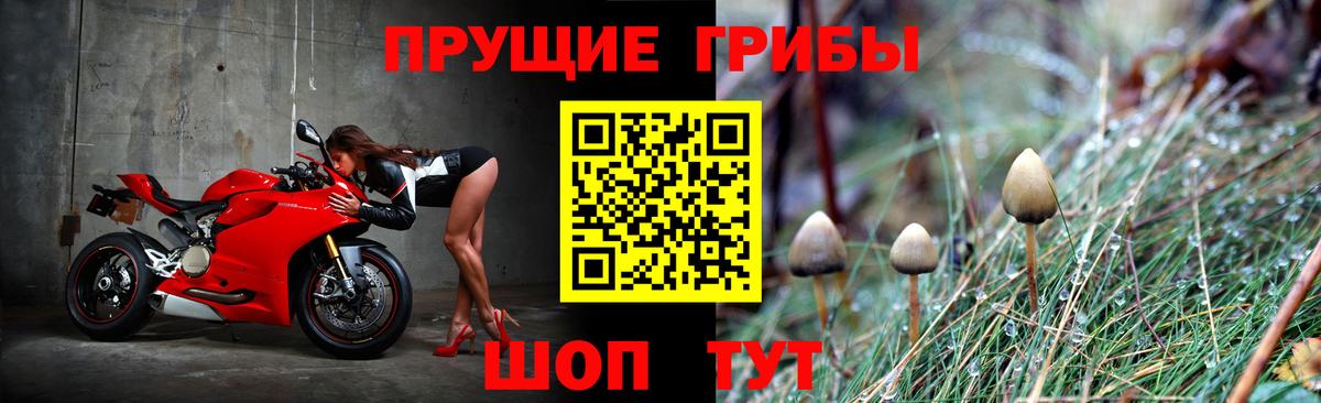 Калач-на-Дону  Псилоцибиновые грибы Psilocybe  Вход с VPN  Галлюциногенные грибы прущие грибы 